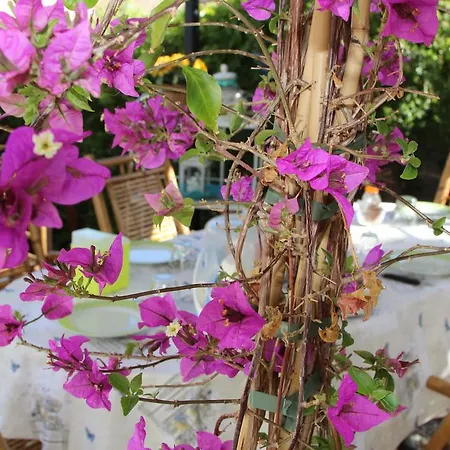 Bed & Breakfast La Porta Sulla Costa